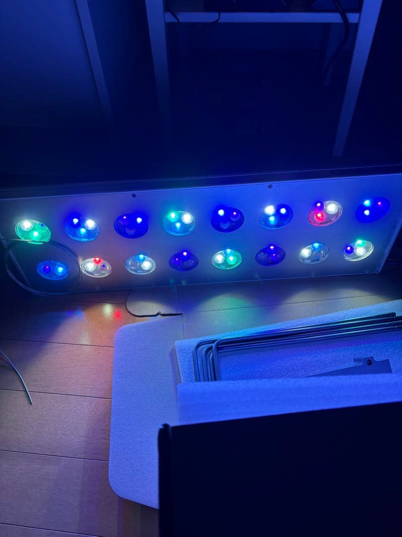 zoox レブロン 60