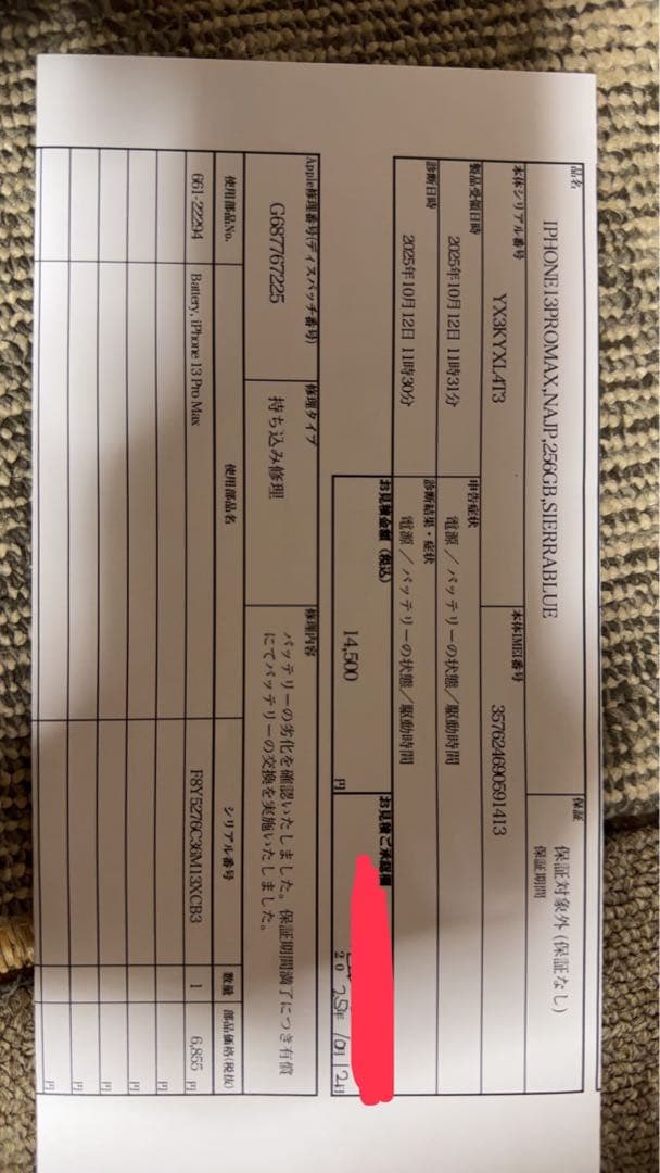 iPhone 13 Pro Max シエラブルー 256 GB