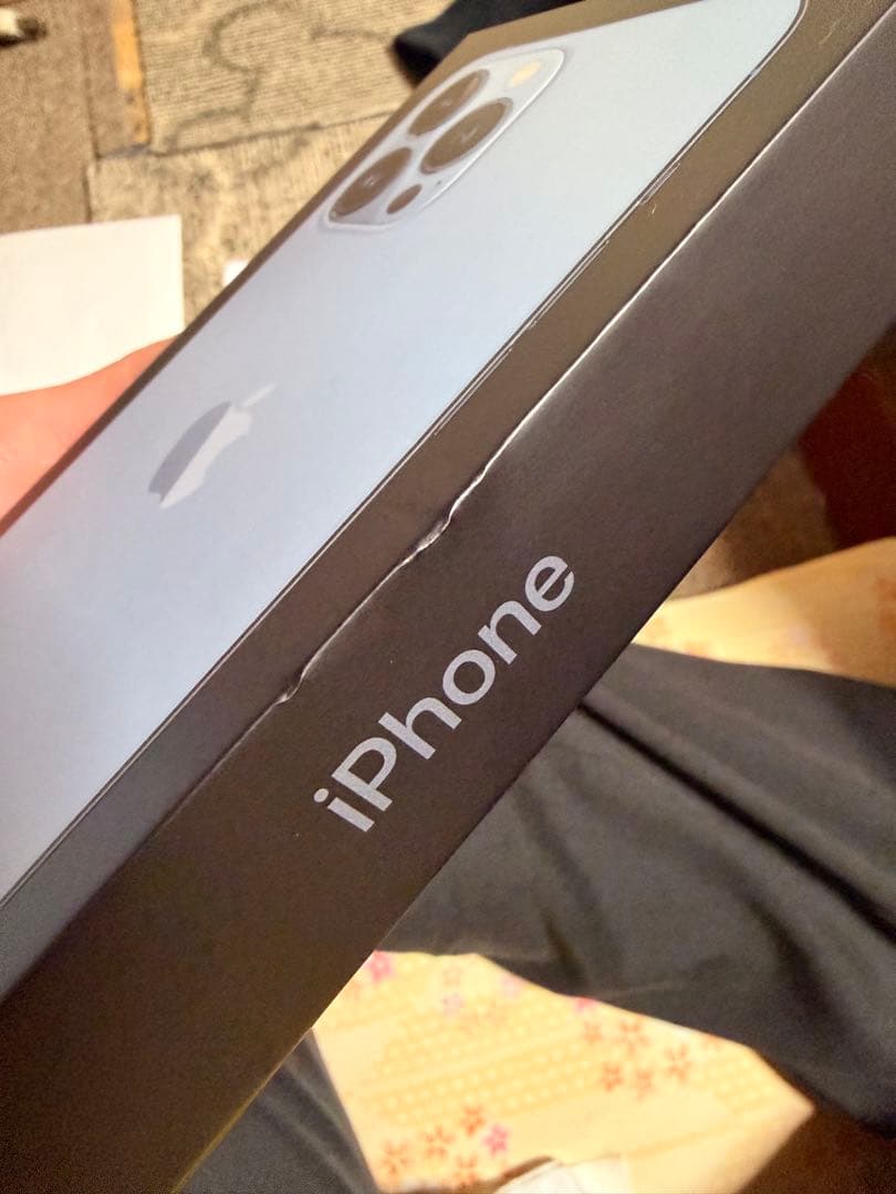 iPhone 13 Pro Max シエラブルー 256 GB