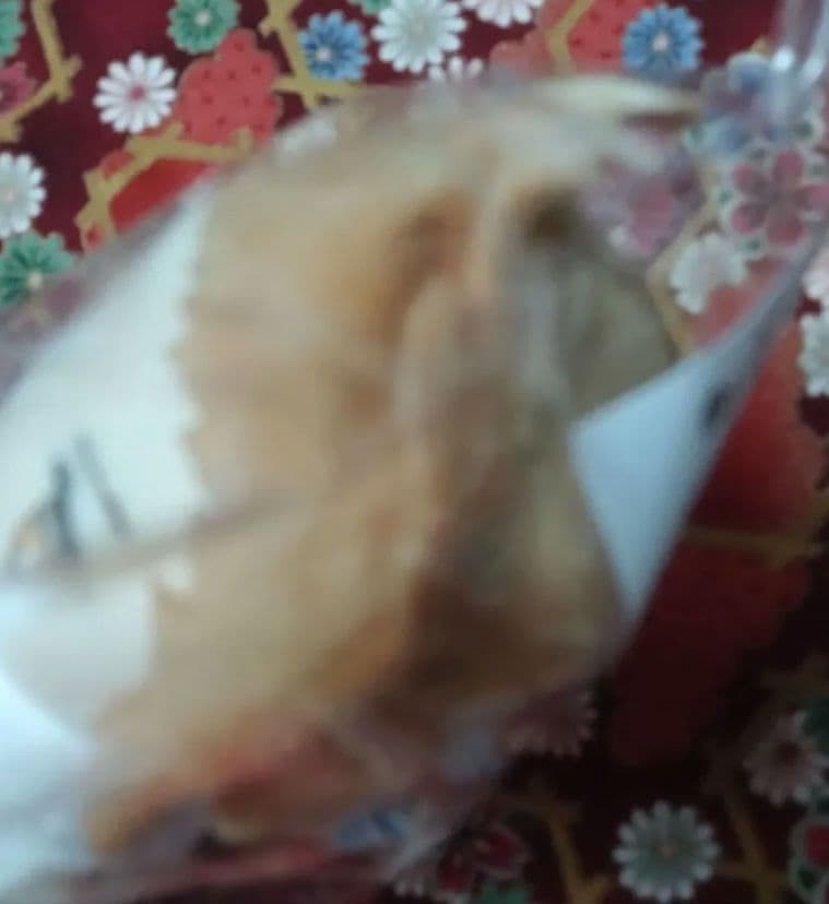 【未開封】うたの☆プリンスさまっ♪ うたプリ ぬいスター 日向龍也＆日向大和