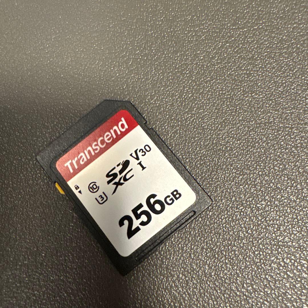 Sony ZV-1G オマケ付 ビデオカメラ 本体