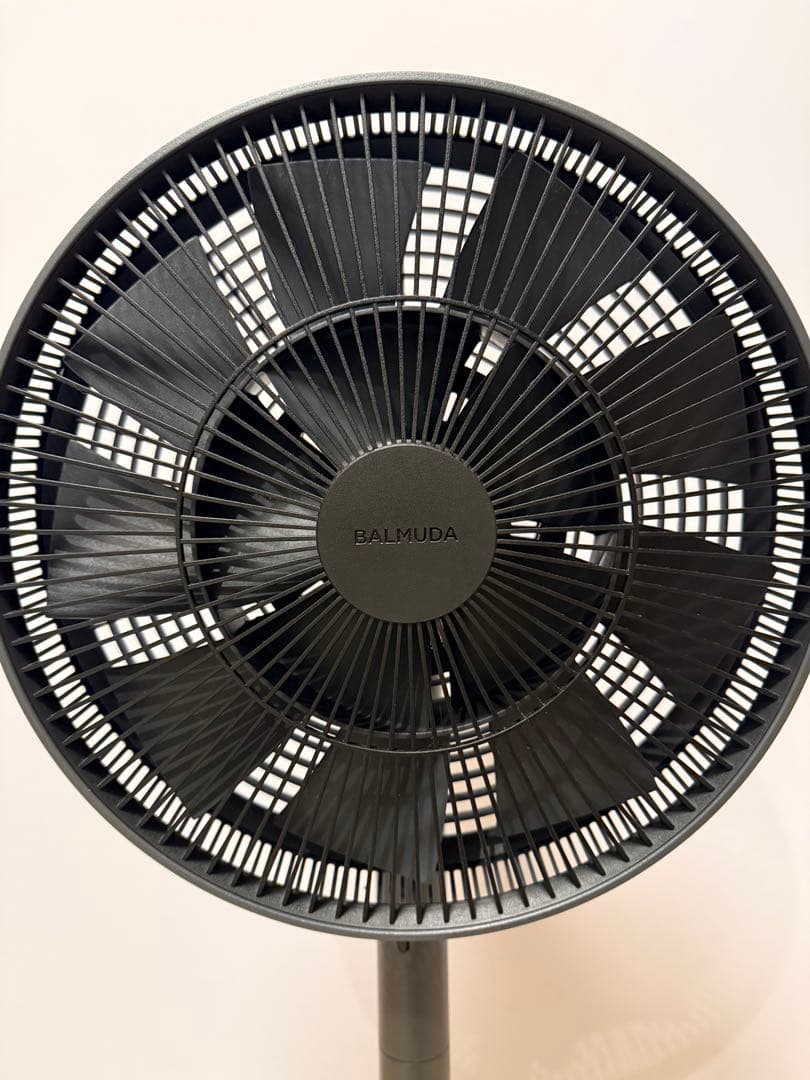 バルミューダ　扇風機　The GreenFan EGF-1600 ブラック