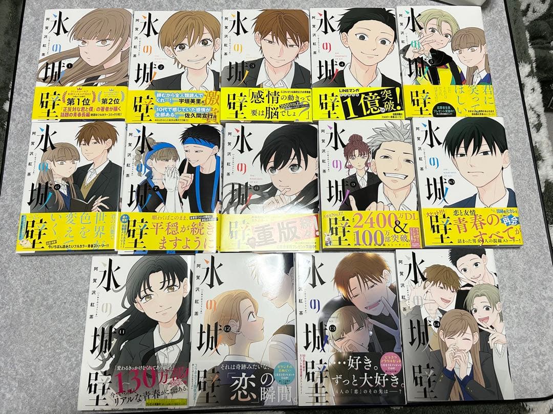 氷の城壁　1-14巻　全巻セット　阿賀沢 紅茶