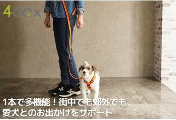 4dogコンフォートプラスハーネスM・スウィッチリーシュ2M/20mm