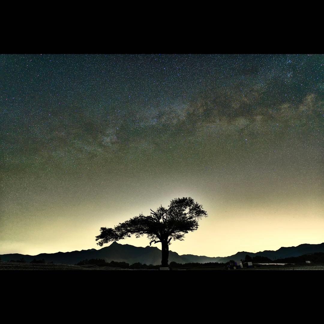 【美品】SIGMA 20mm F1.4 DG DN Eマウント 単焦点レンズ