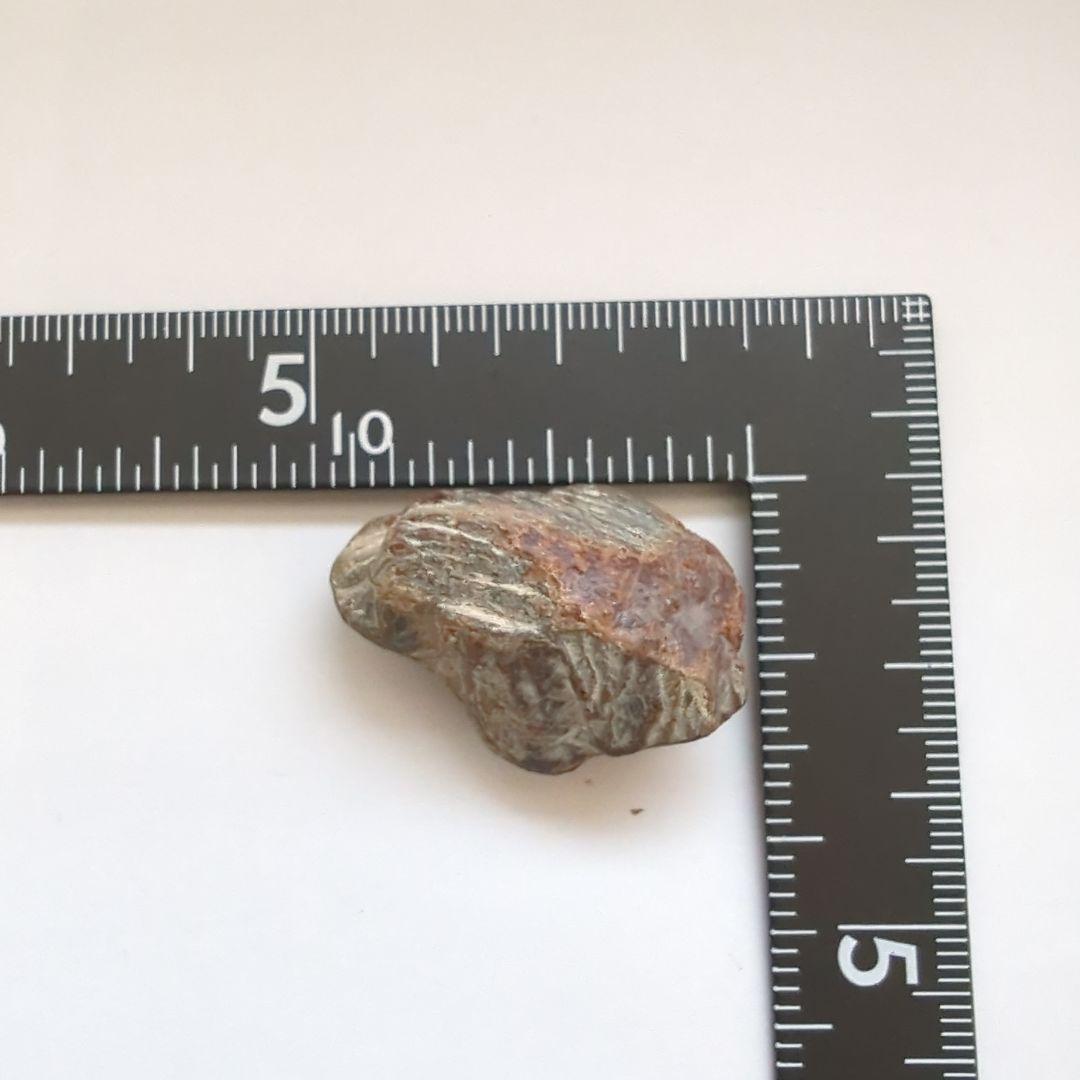 ユークセン石／ブラジル産/22g/ホルミシス効果／ラジウム鉱石