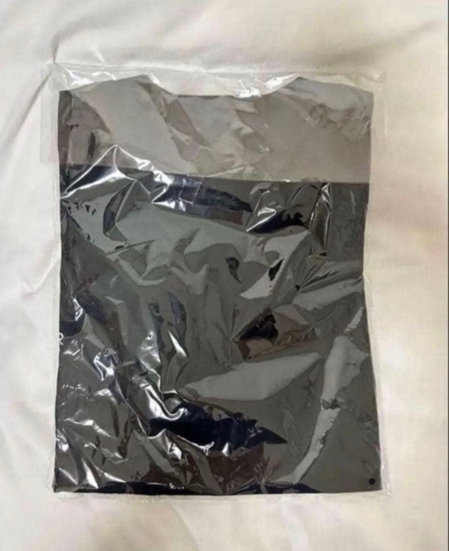 Hi-standard ロンT pizza of death 難波章浩着用 M