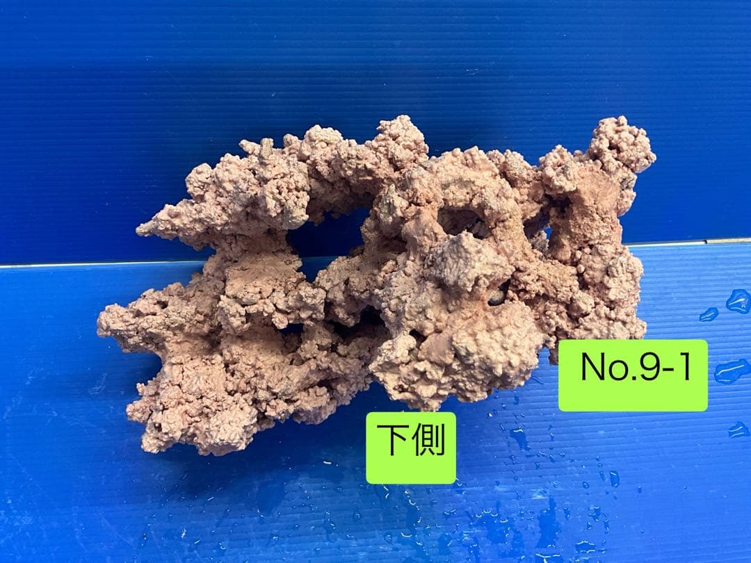 人工ライブロック　お魚たちの隠れ家　No.9-1CO2無害化処理済