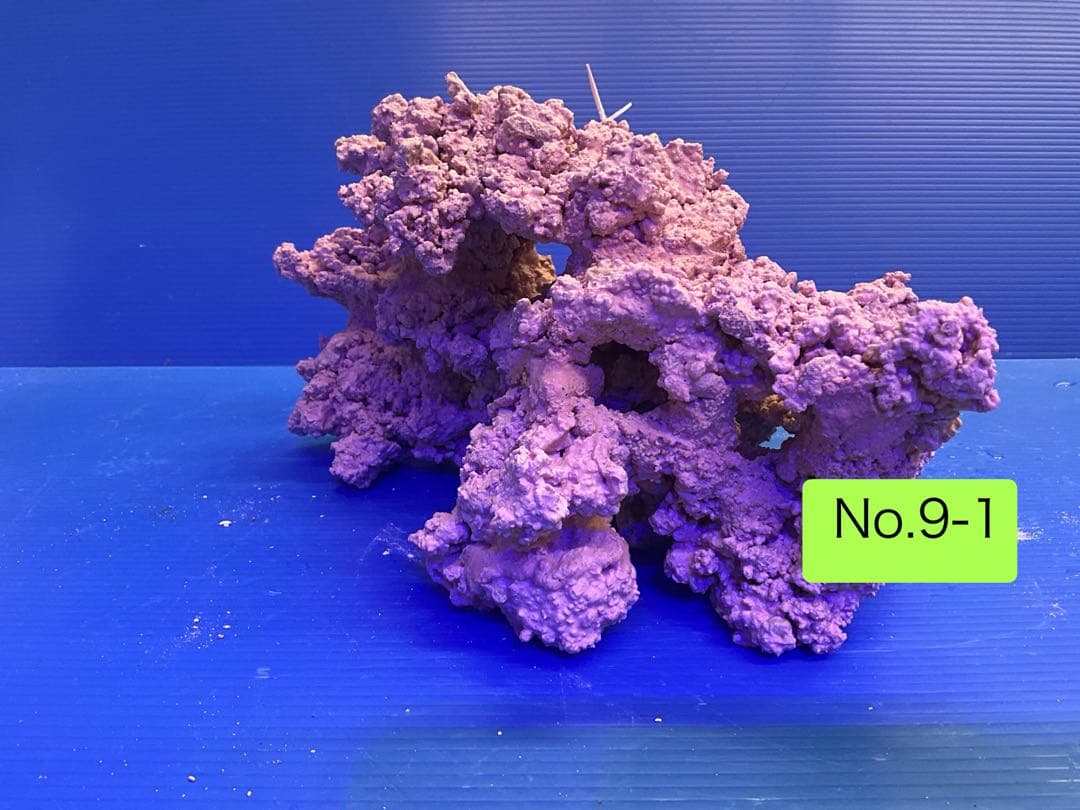 人工ライブロック　お魚たちの隠れ家　No.9-1CO2無害化処理済