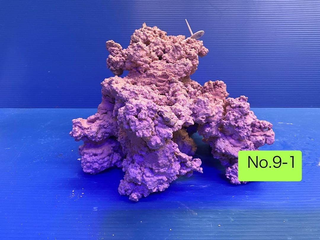 人工ライブロック　お魚たちの隠れ家　No.9-1CO2無害化処理済