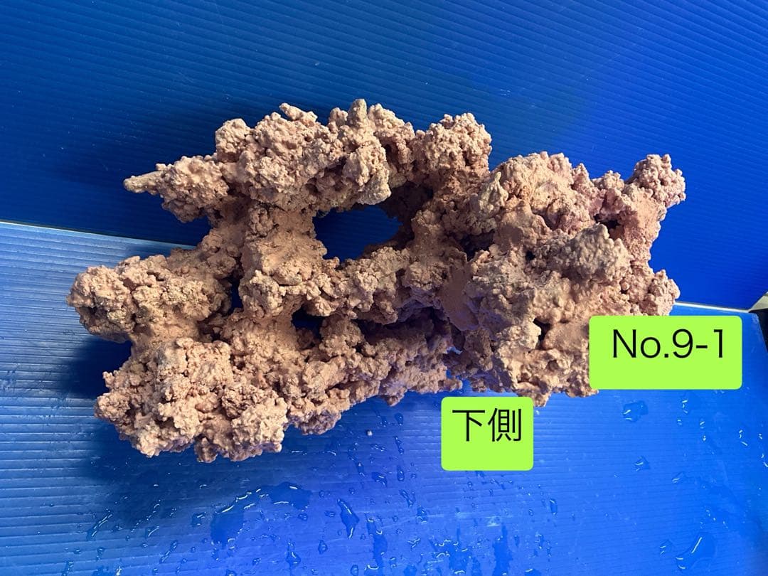 人工ライブロック　お魚たちの隠れ家　No.9-1CO2無害化処理済