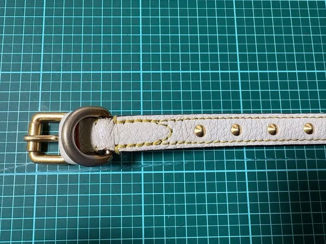 ルイ ヴィトン⭐︎首輪&リード ⭐︎スハリ⭐︎gucci⭐︎coach⭐︎