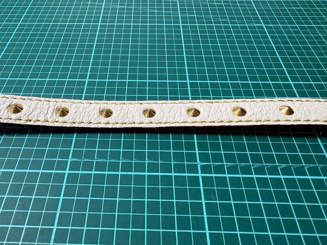 ルイ ヴィトン⭐︎首輪&リード ⭐︎スハリ⭐︎gucci⭐︎coach⭐︎