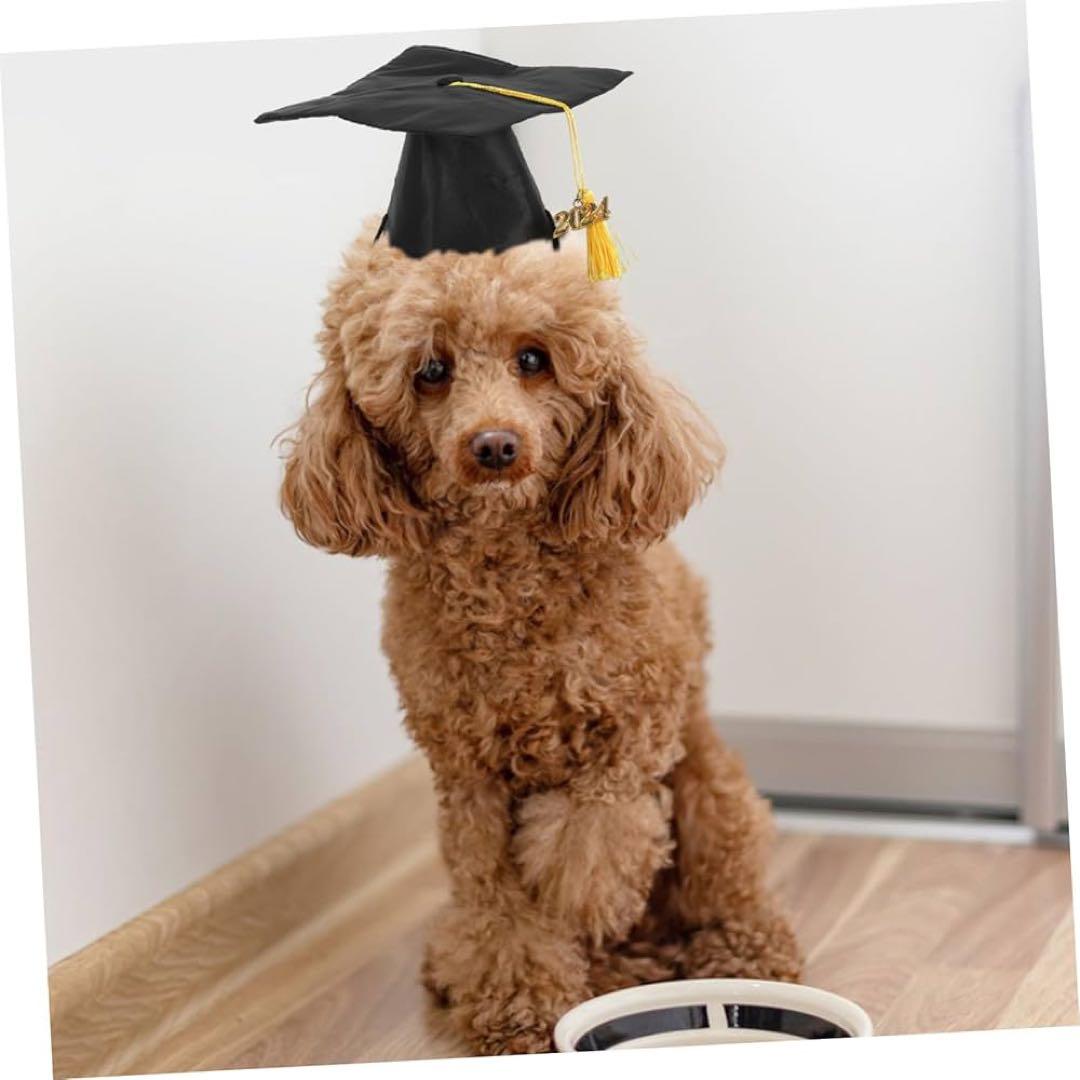 ペット用卒業帽 子犬 猫用 学士帽 タッセル付き 年卒業記念コスチューム