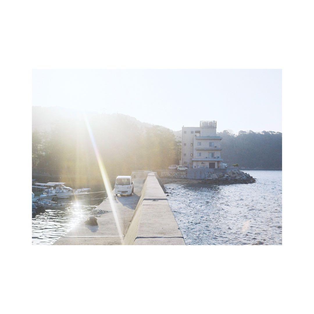 ⌘ オーバーホール済み、完動品！ 作例あり！ OLYMPUS TRIP35⌘