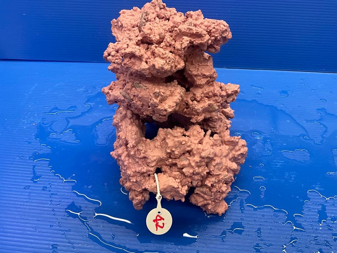 人工ライブロック. No.42. 無害化処理済