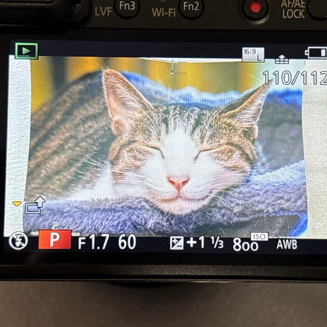 デジタルカメラ LUMIX DMC-LX100ライカレンズ Panasonic