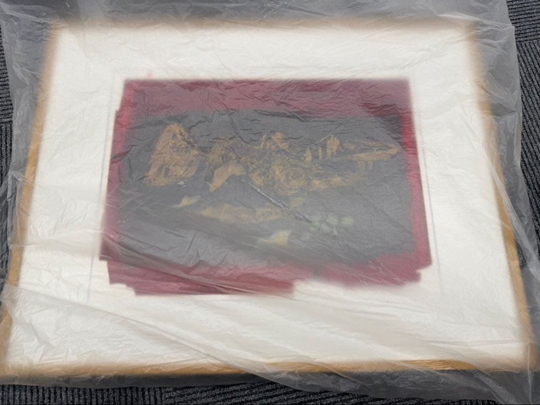 9212W 小全紙 クリアー 清野 修治