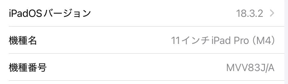 iPad Pro11インチ第5世代（最新）M4 Wi-Fi 256GB ブラック