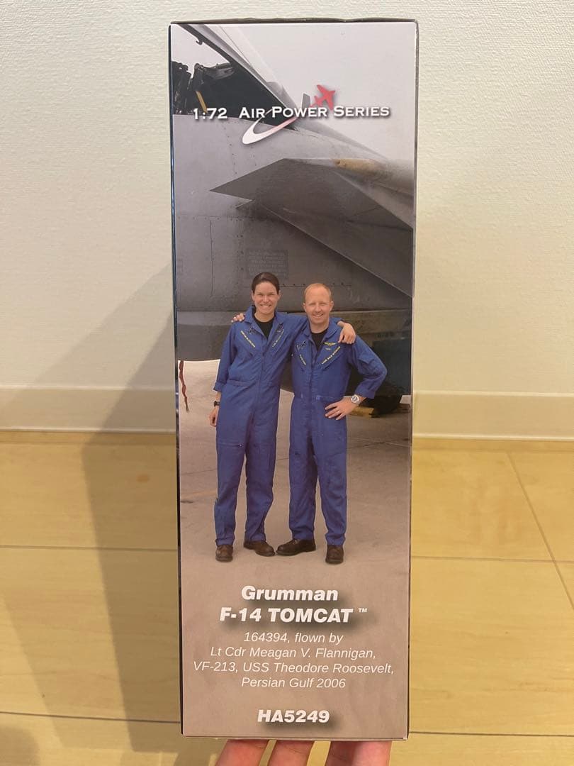 航空機・ヘリコプター Hobby Master 1/72 F14D VF-213 HA5249