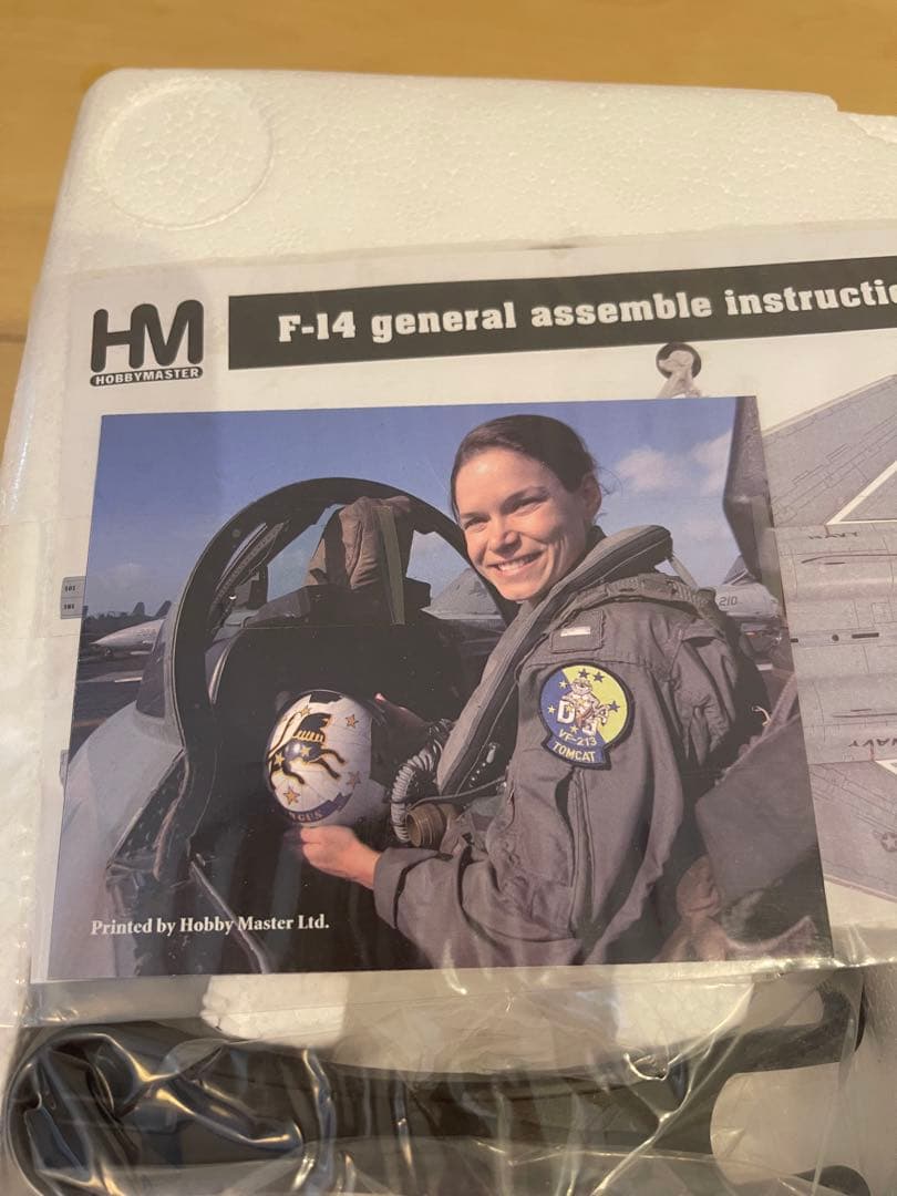 航空機・ヘリコプター Hobby Master 1/72 F14D VF-213 HA5249
