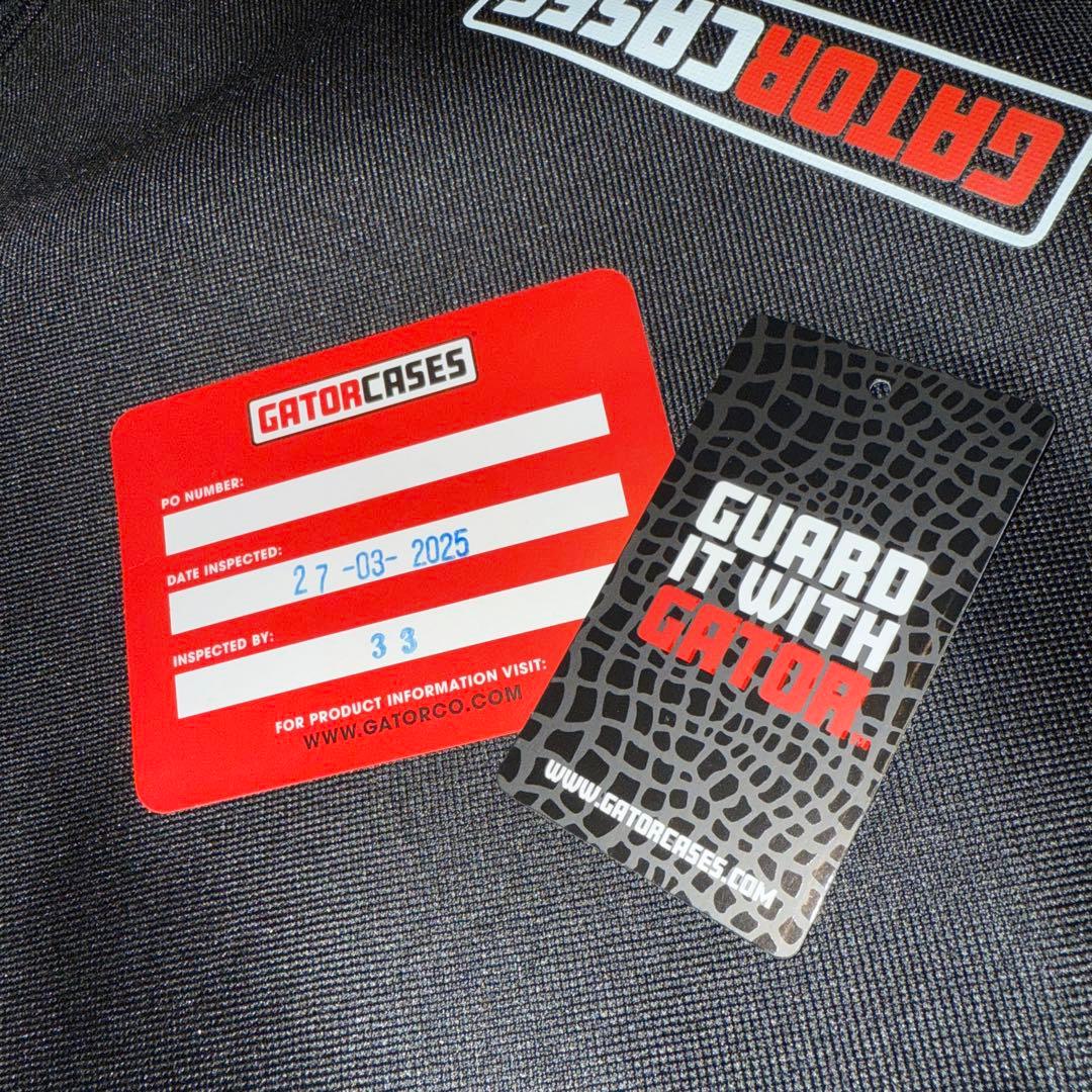 gfc エレキギター / IDENTITY / SG Explorer タイプ