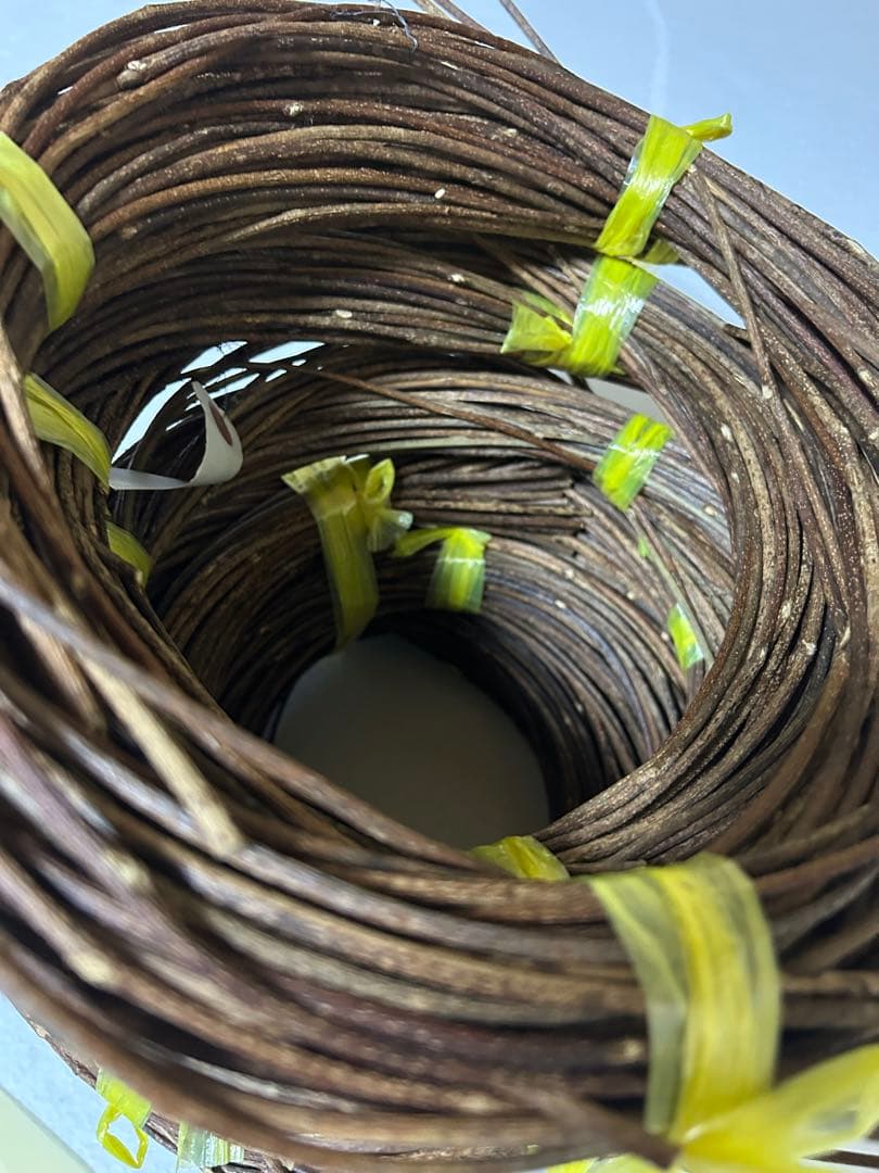 青森県産のアケビ蔓 2kg