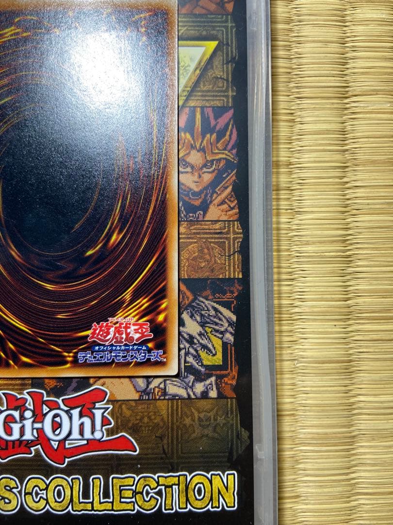 真紅眼の黒竜　レリーフ　アルティメット