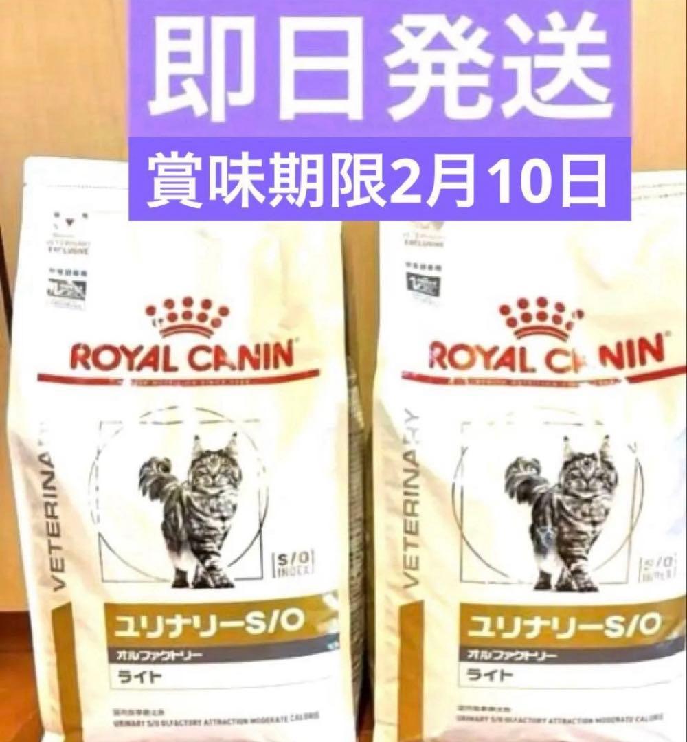 ロイヤルカナン ユリナリーS/O オルファクトリー ライト4kg×2 猫
