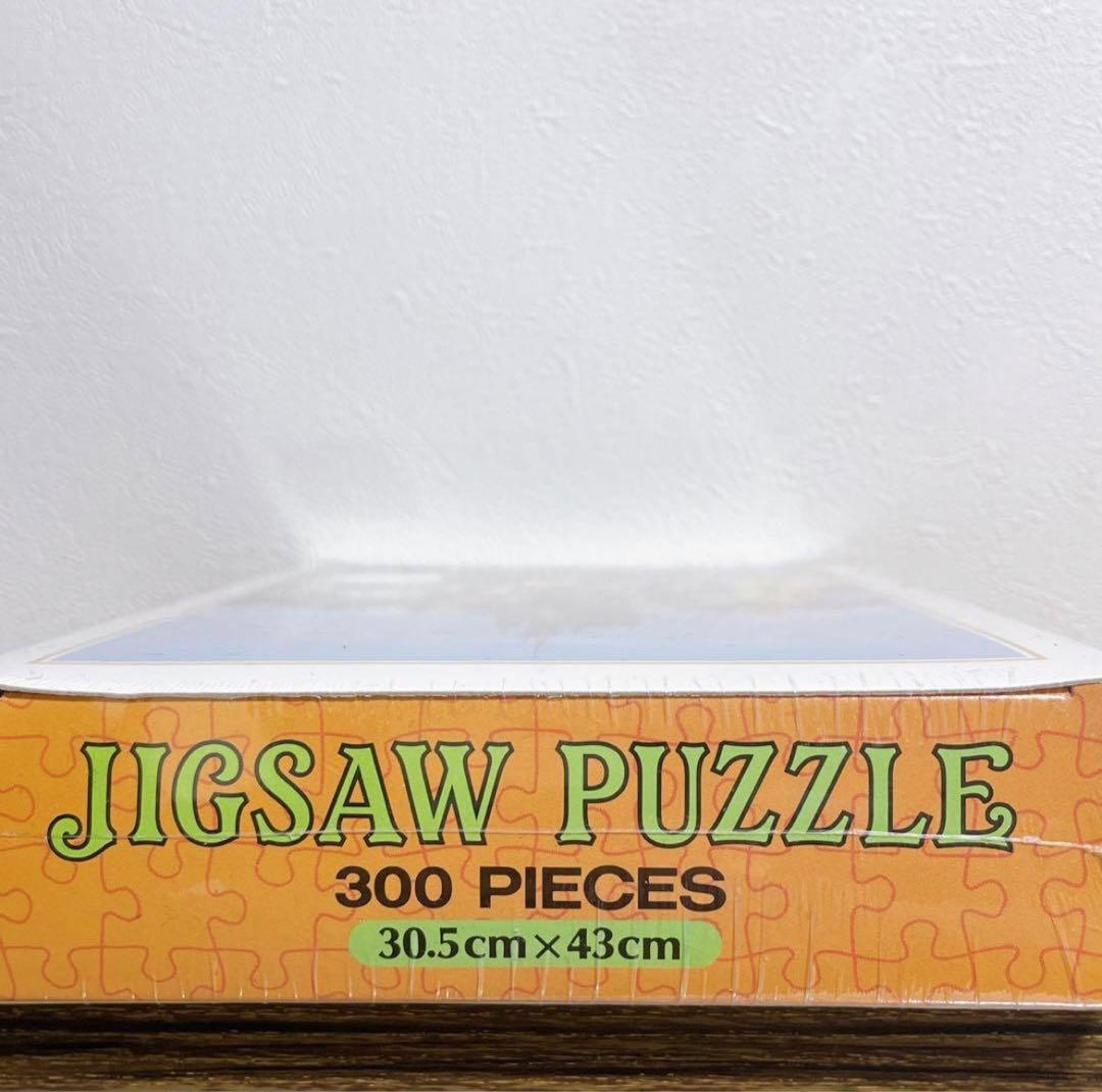 レトロ　東京ディズニーランド　ジグソーパズル　実写版　300ピース　レア