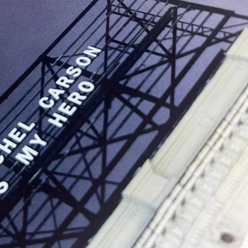 マット額装品/David Horvitz /デヴィッド・ホーヴィッツ