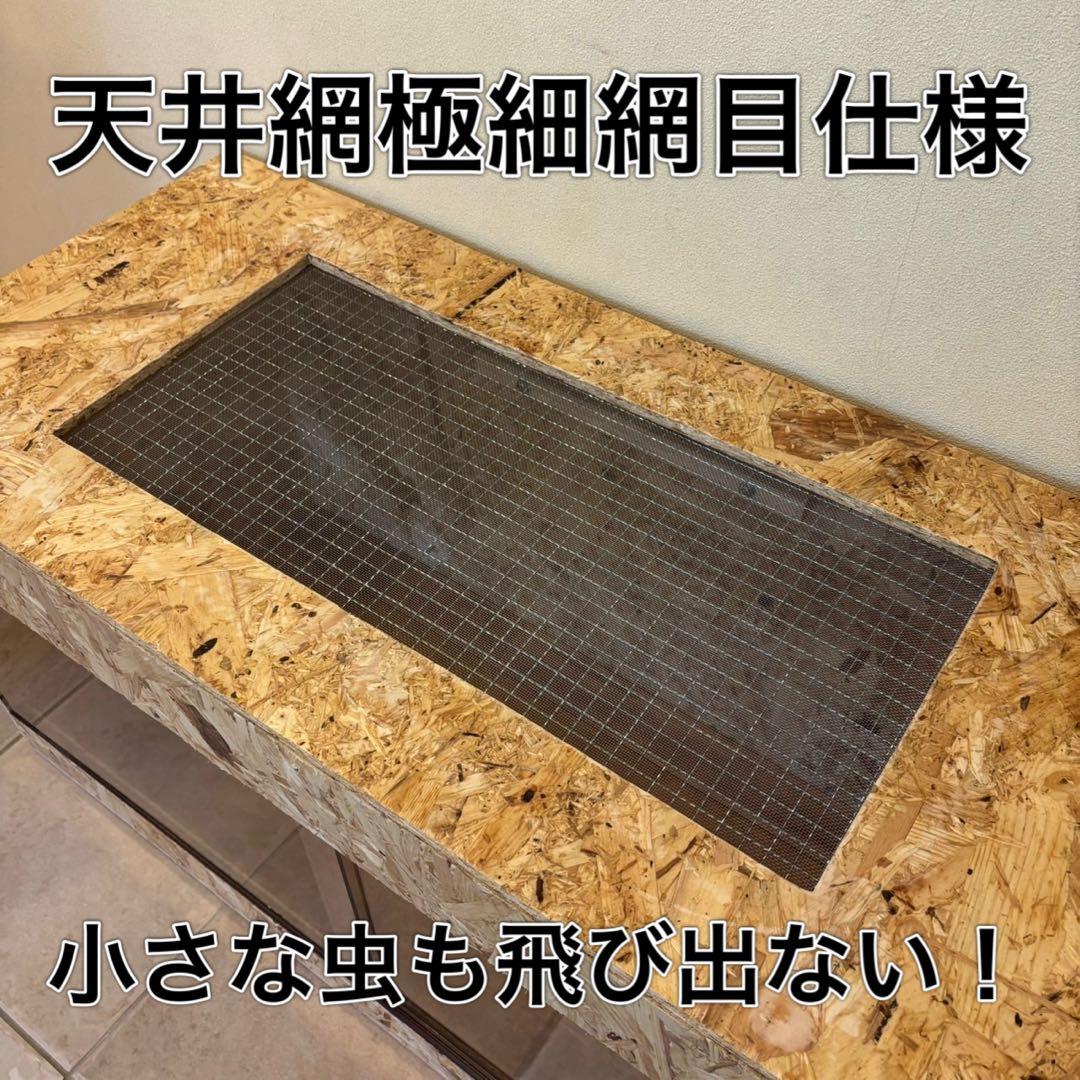 TIG　爬虫類ケージ　木製ケージ　細網目仕様　フトアゴ　フルオプション