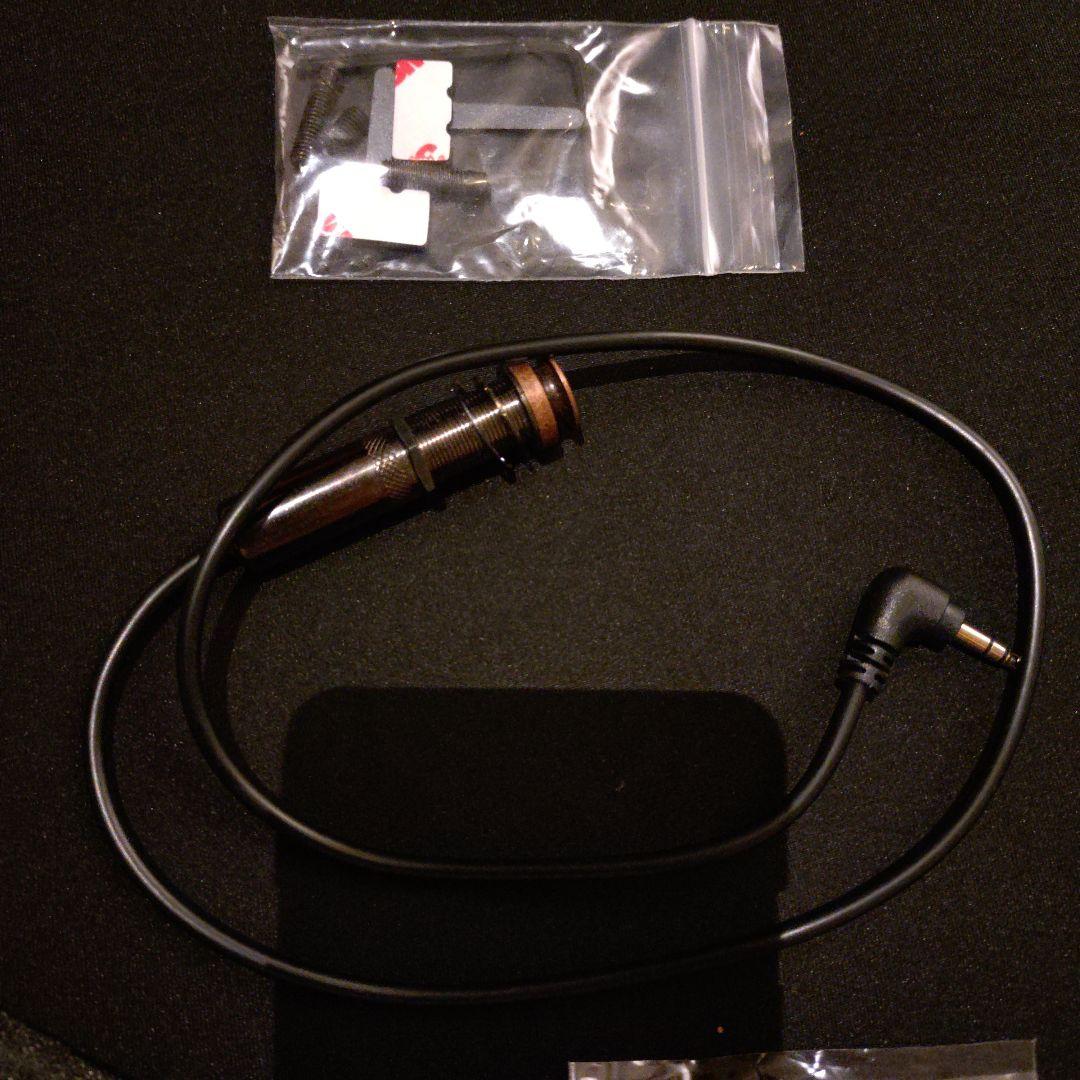 LR Baggs M1 Active アコギピックアップ