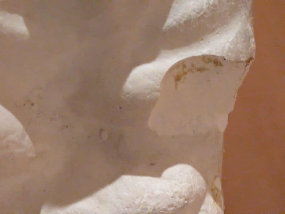 石膏像　モーゼ大顔面