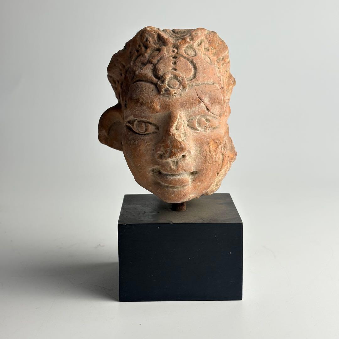 テラコッタ ラピタ 仏頭 ガンダーラ 仏教美術