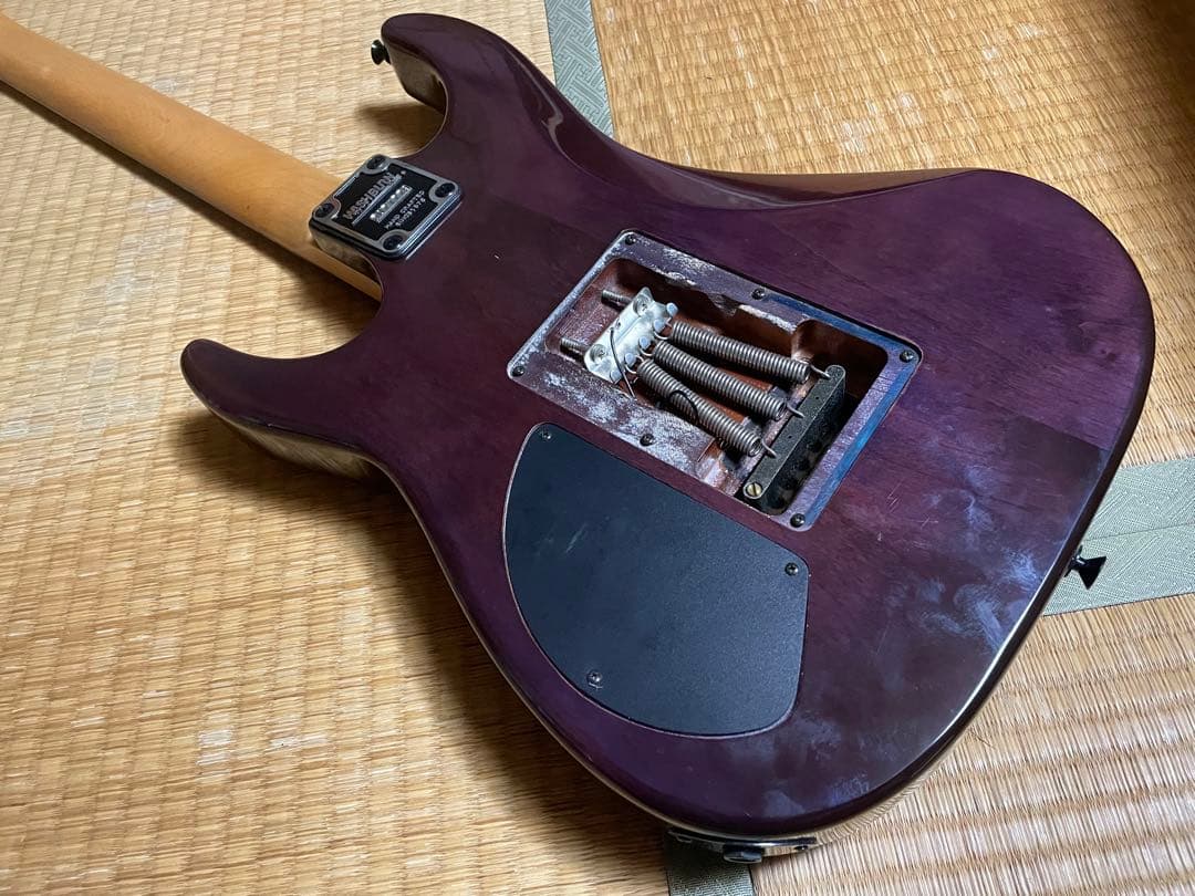 827021様用　Washburn ワッシュバーン