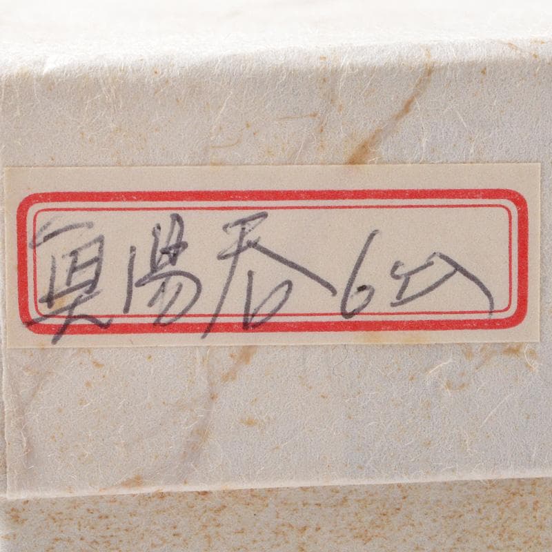 煎茶道具　有田焼　館林源右衛門　染錦　桐花文　湯呑　煎茶碗　5客　V　R6762