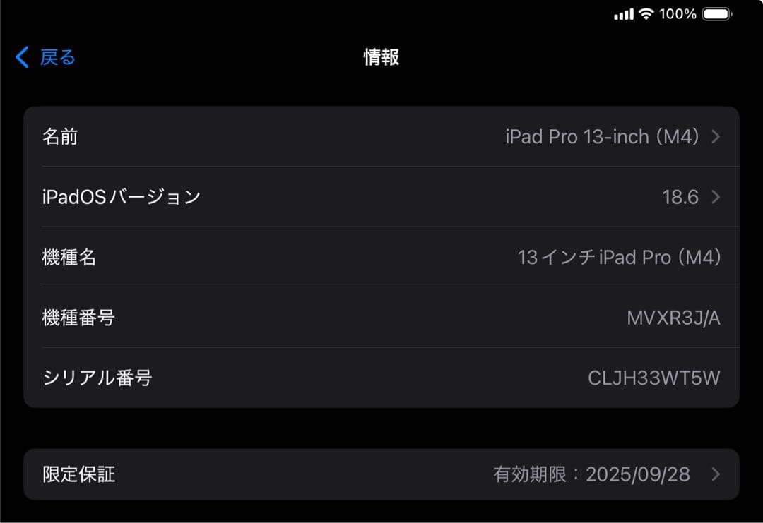 iPad Pro 13インチ256GB Cellularスペースブラック 極美品
