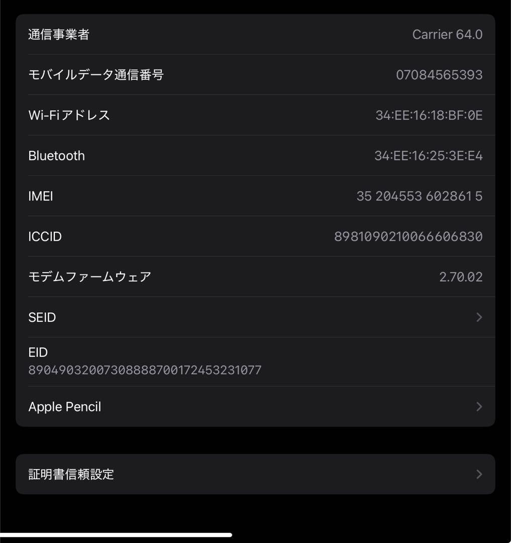 iPad Pro 13インチ256GB Cellularスペースブラック 極美品