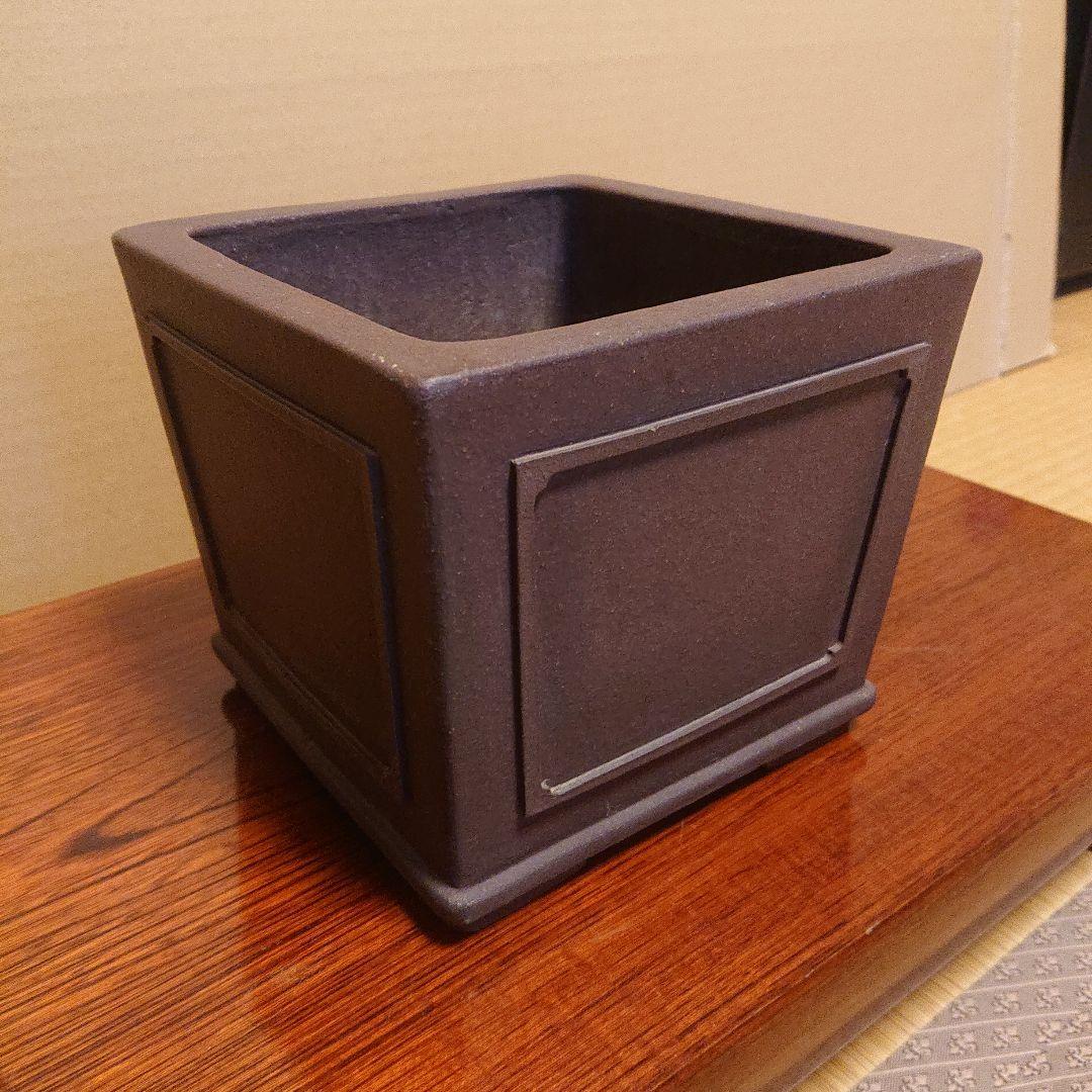 盆栽鉢 山秋造 松泉焼 常滑