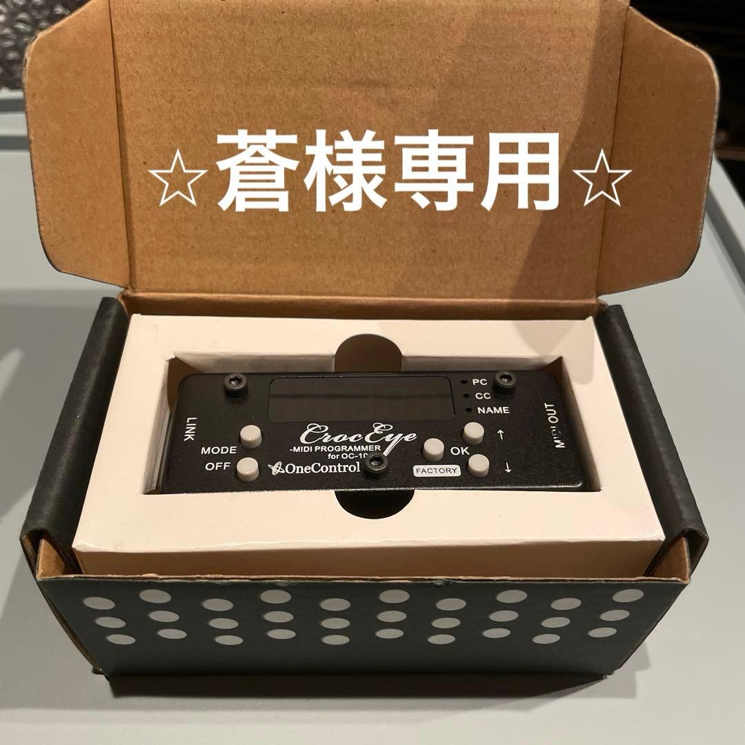 ⭐︎蒼⭐︎ OneControl Croc Eye 付属品あり