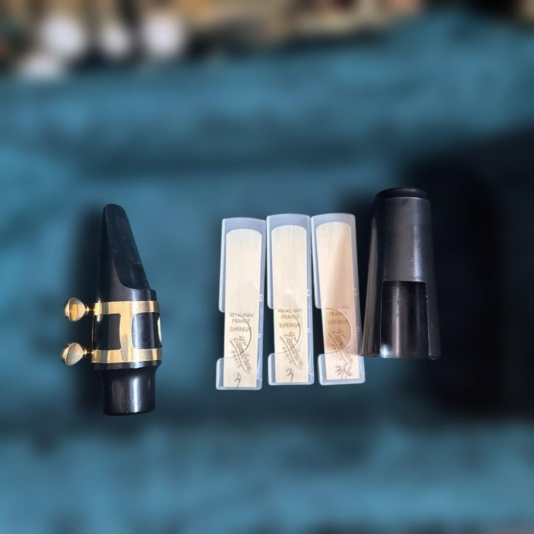 Kaerntner ケルントナー　アルトサックス 本体とケース付き