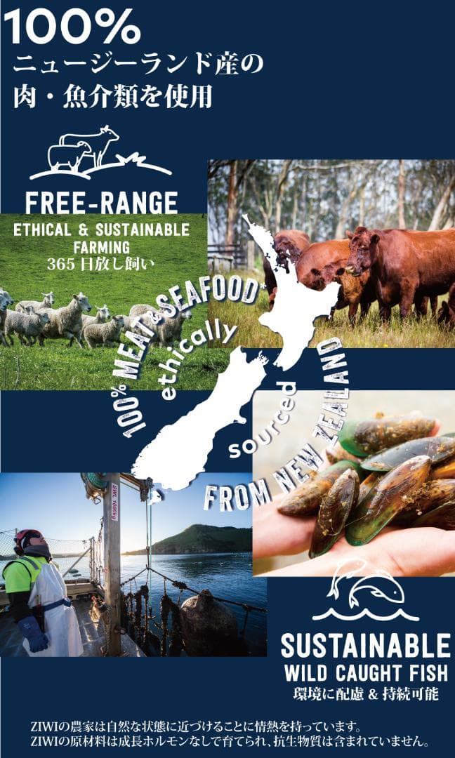 ZIWI Peak ビーフレシピ 1kg グラスフェッドビーフ 牛肉
