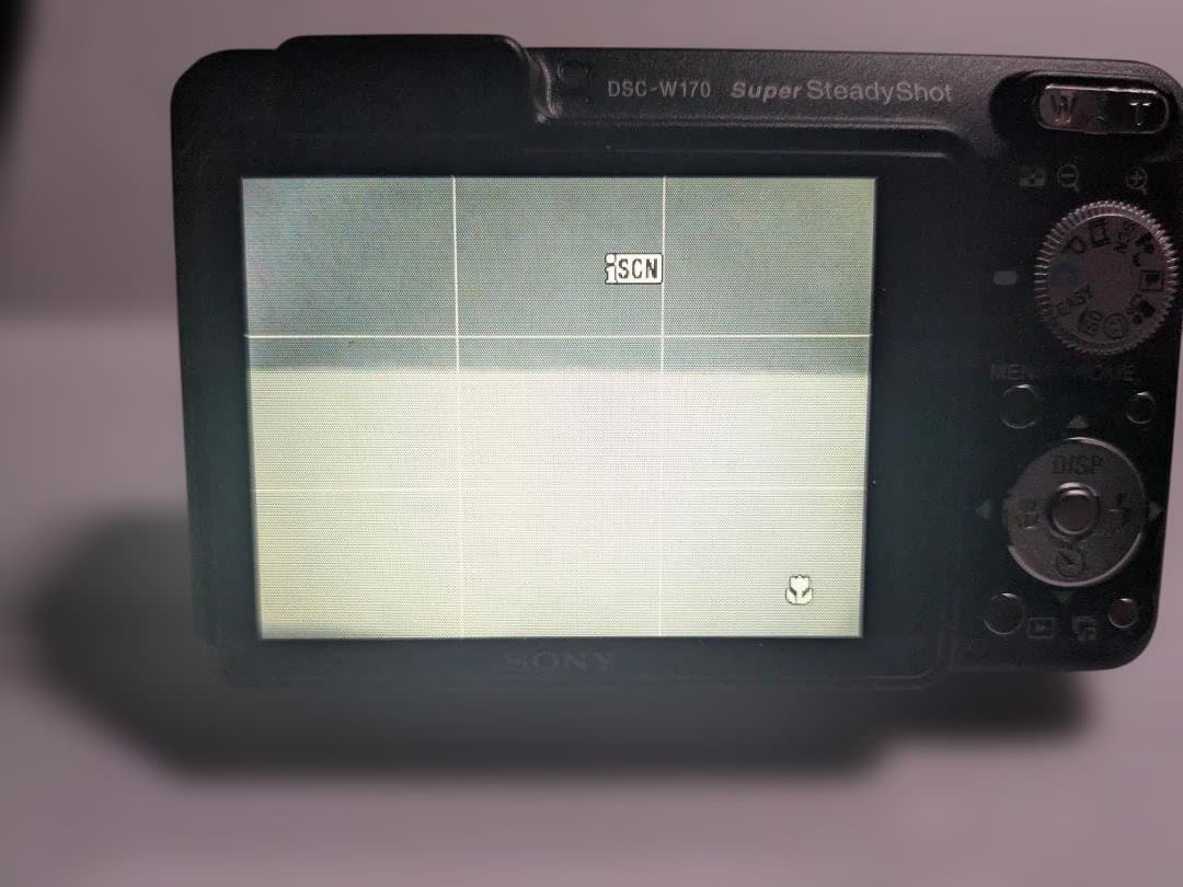 デジタルカメラ SONY Cyber-shot DMC-W170 10.1MP