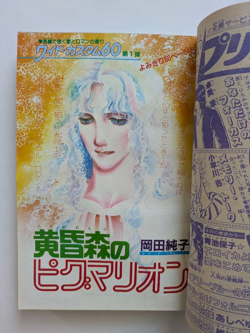 プリンセス　昭和58年1月　新年特大号　秋田書店　昭和レトロ