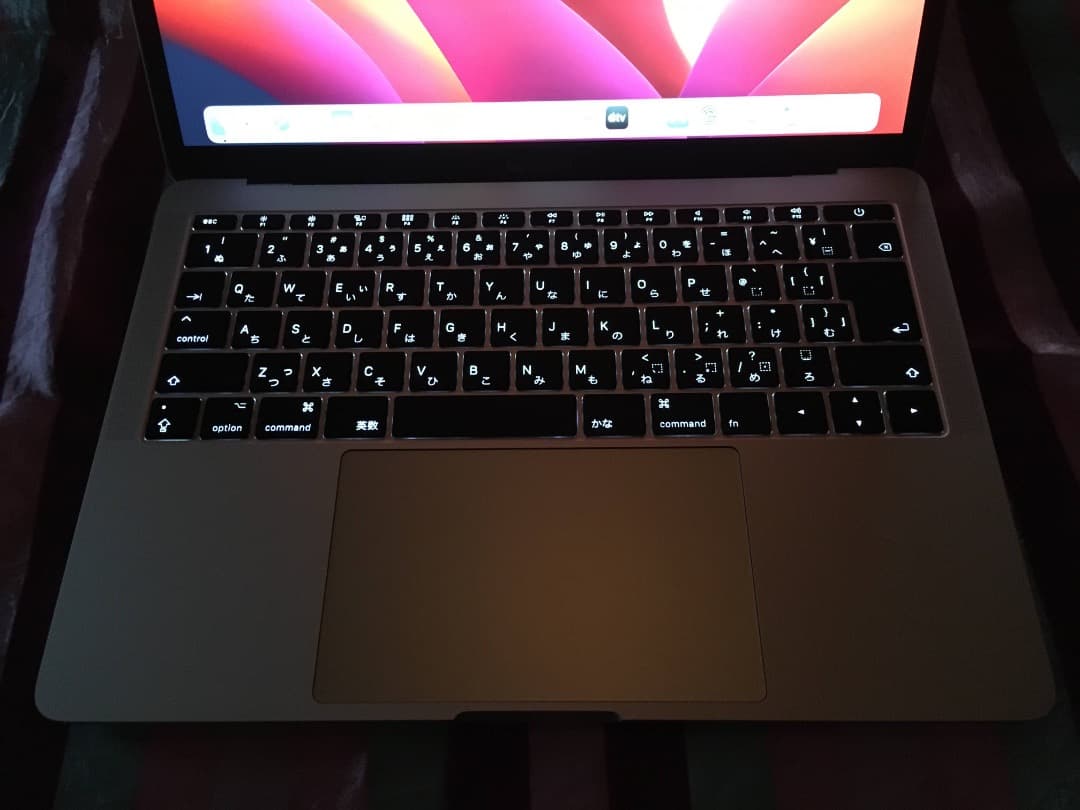 MacBook本体 Apple MacBook Pro 2017 8GB 250GB WIN11PR