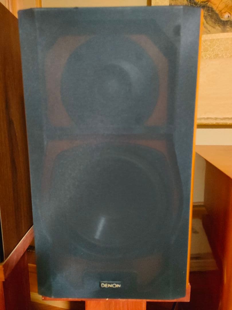 DENON(デノン) SC-E727Rペア