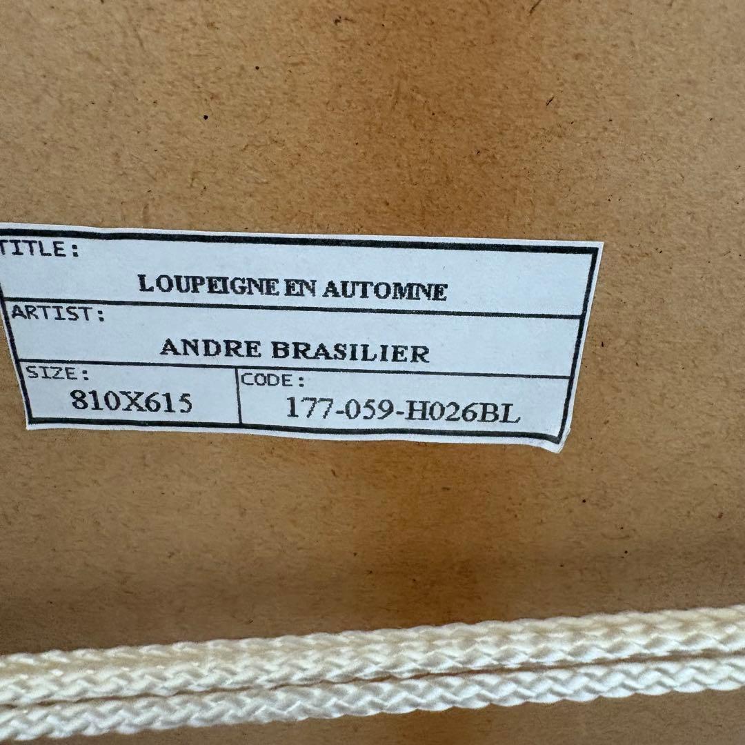 絵画 LOUPEIGNE EN AUTOMNE ANDRE BRASILIER