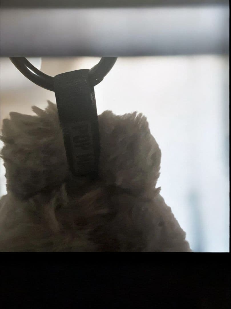 に*ま様 【正規品】Labubu Big into Energy ラブブ シーク