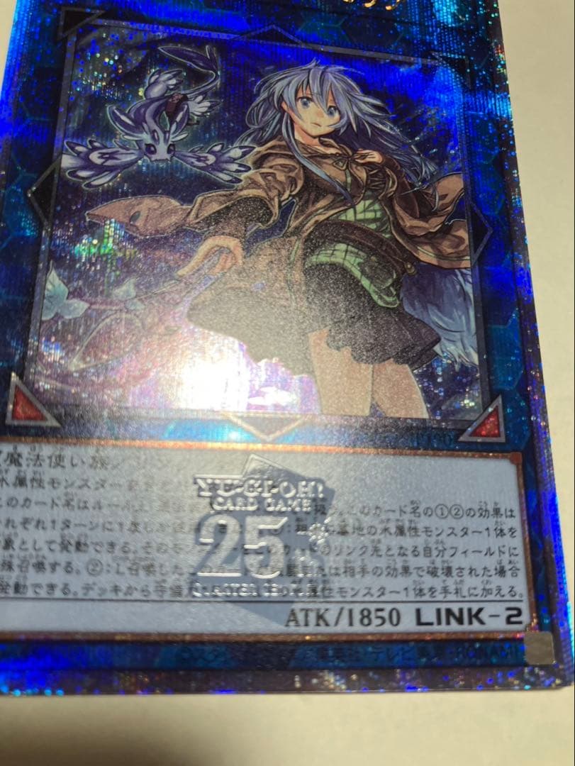 【新品】遊戯王カード　清冽の水霊使いエリア